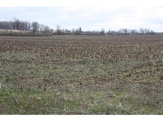 Property photo 4 - 438 +/- Acres Offered in 10 Tracts - Metcalf Farms - 6PM CST